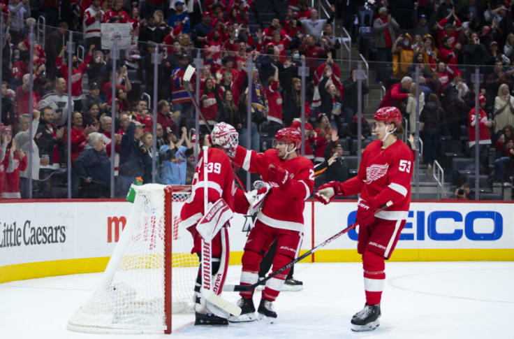 Alex Nedeljkovic Stands Tall in Red Wings' 4-2 Win over St. Louis