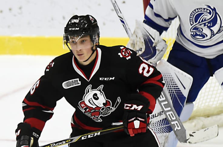 The top 10 prospects in the 2019 NHL Draft