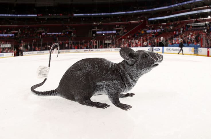 rats on the ice florida panthers｜TikTok Search