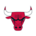 Chicago Bulls