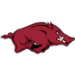 Arkansas Razorbacks Football