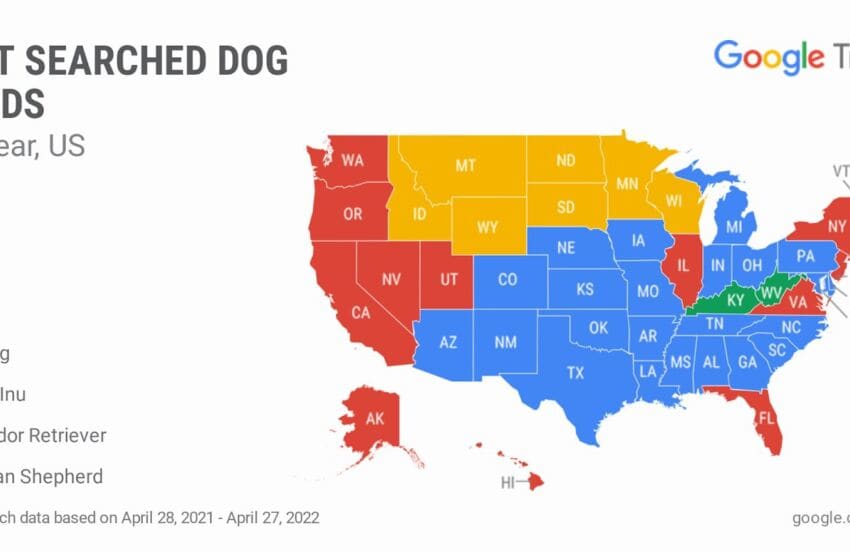 Google Trends Shares Top Dog Breeds in Each State, Pet Data. Image courtesy of Google Trends