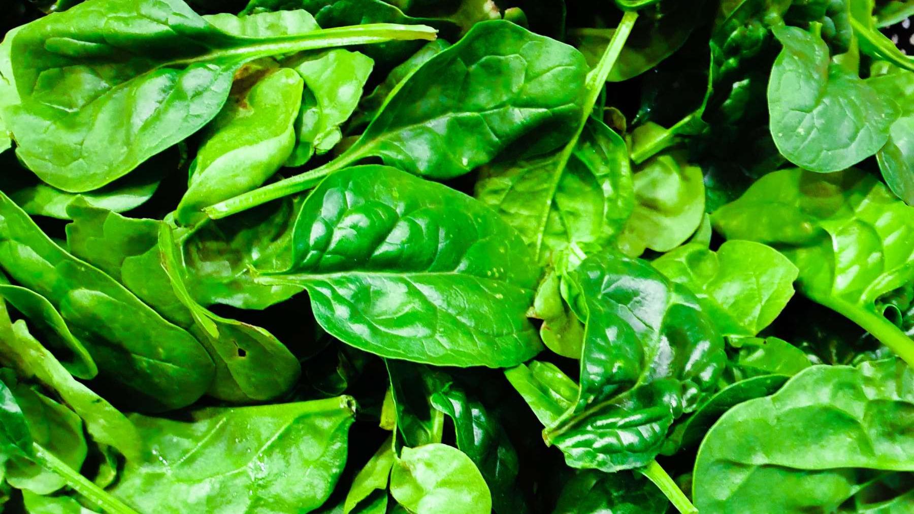 Scientists Taught Spinach to Send Emails About Hazmat in the Soil - Vimarsana News