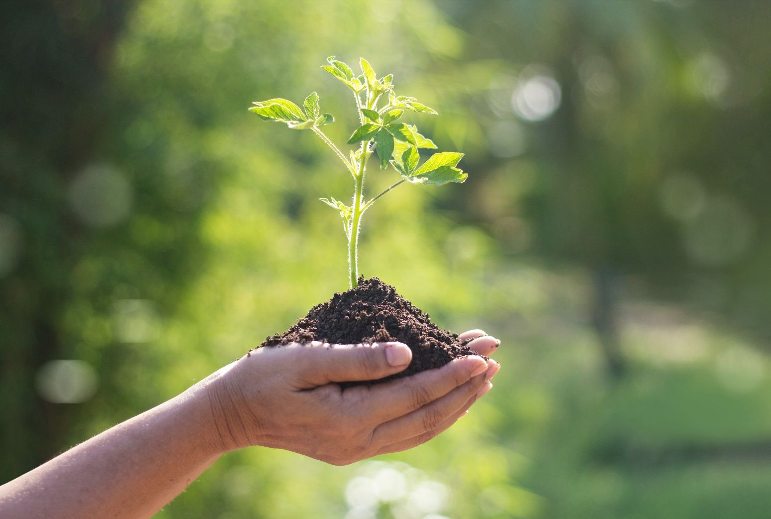 Why Do We Celebrate Earth Day On April 22 Mental Floss