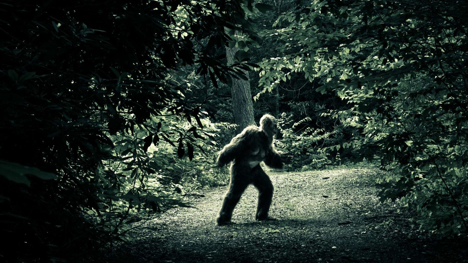 Hulu's 'Sasquatch' Documentary Explores a Dark Urban Legend Mental Floss