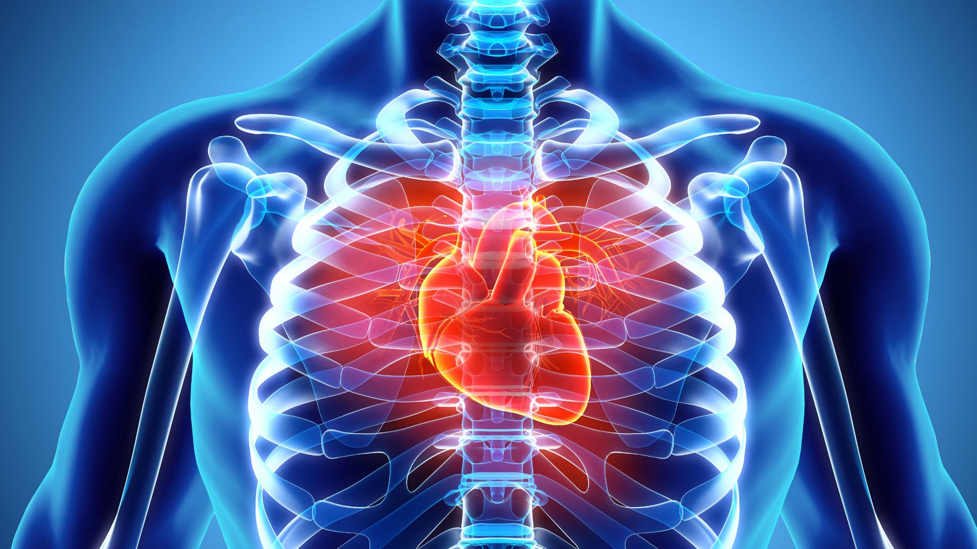 cardiovascular diseases