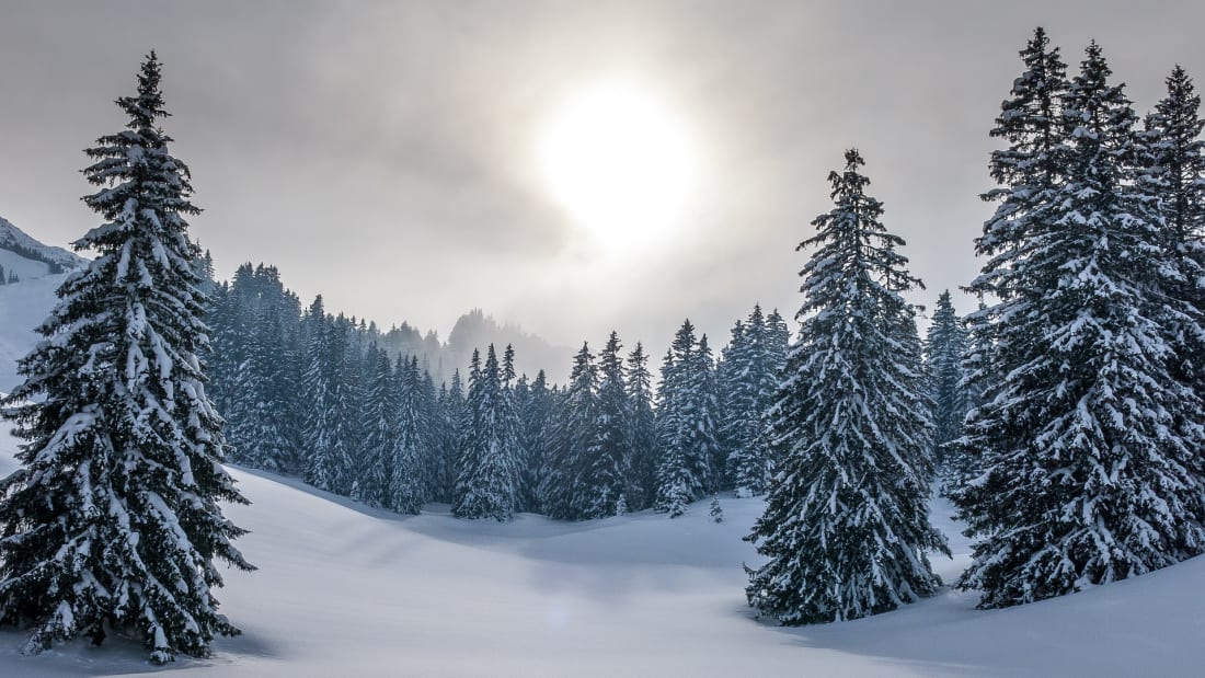 10 Facts About The Winter Solstice Mental Floss