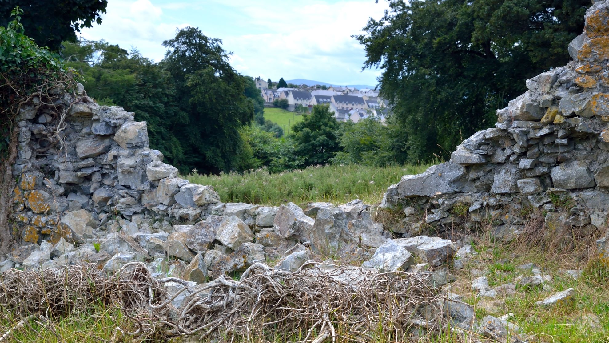 The Bizarre Death of Bridget Cleary, the Irish