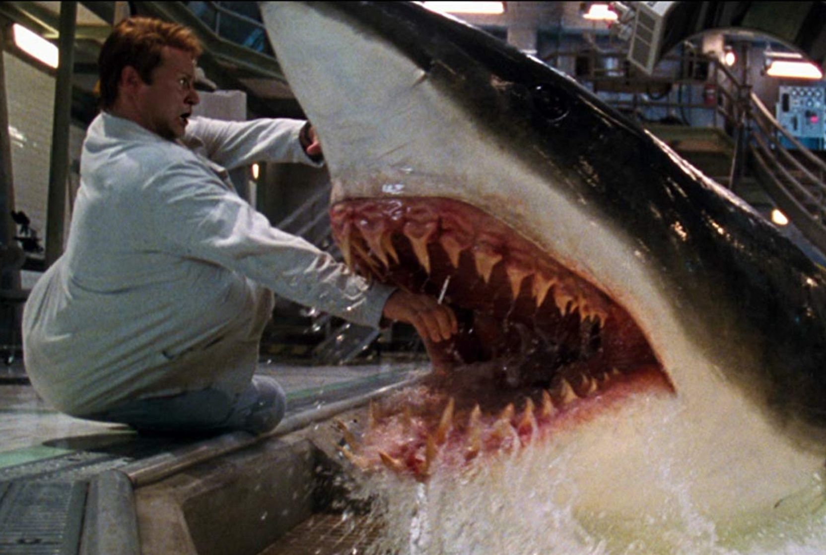 17 Surprising Facts About Deep Blue Sea Mental Floss 17 Surprising Facts About Deep Blue Sea Mental Floss