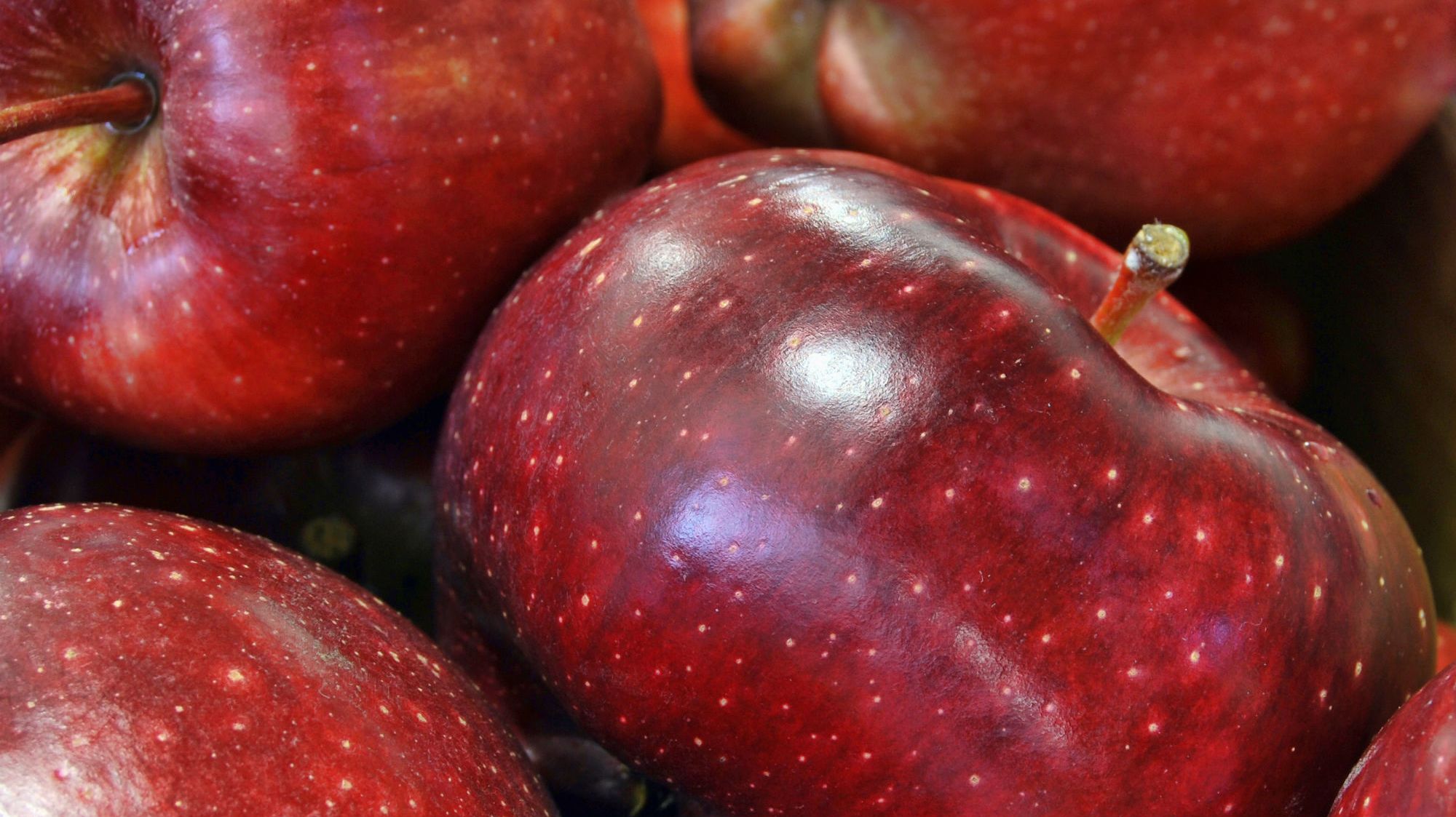 Galas Have Finally Edged Out the Red Delicious in America's Apple Wars