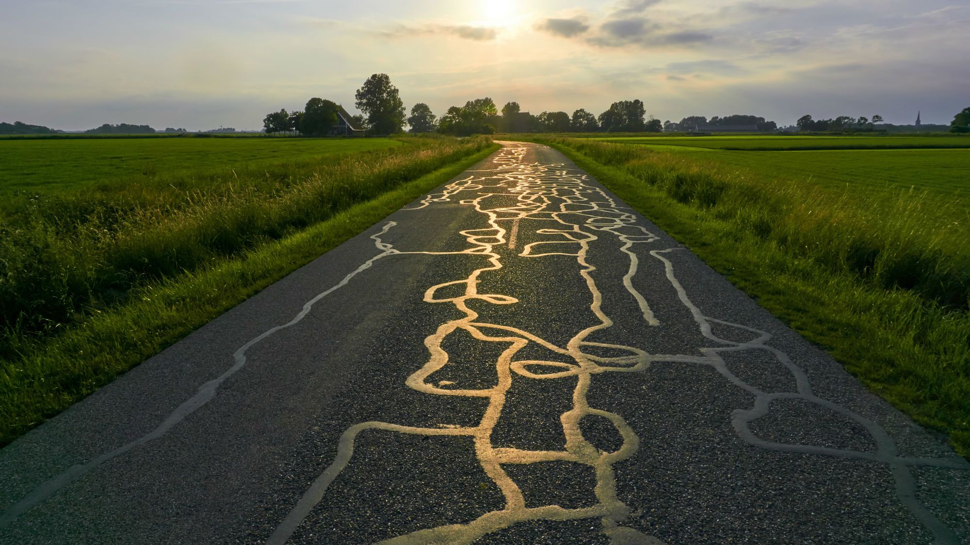 What Are Those Squiggles of Tar You See on Roads? Mental Floss