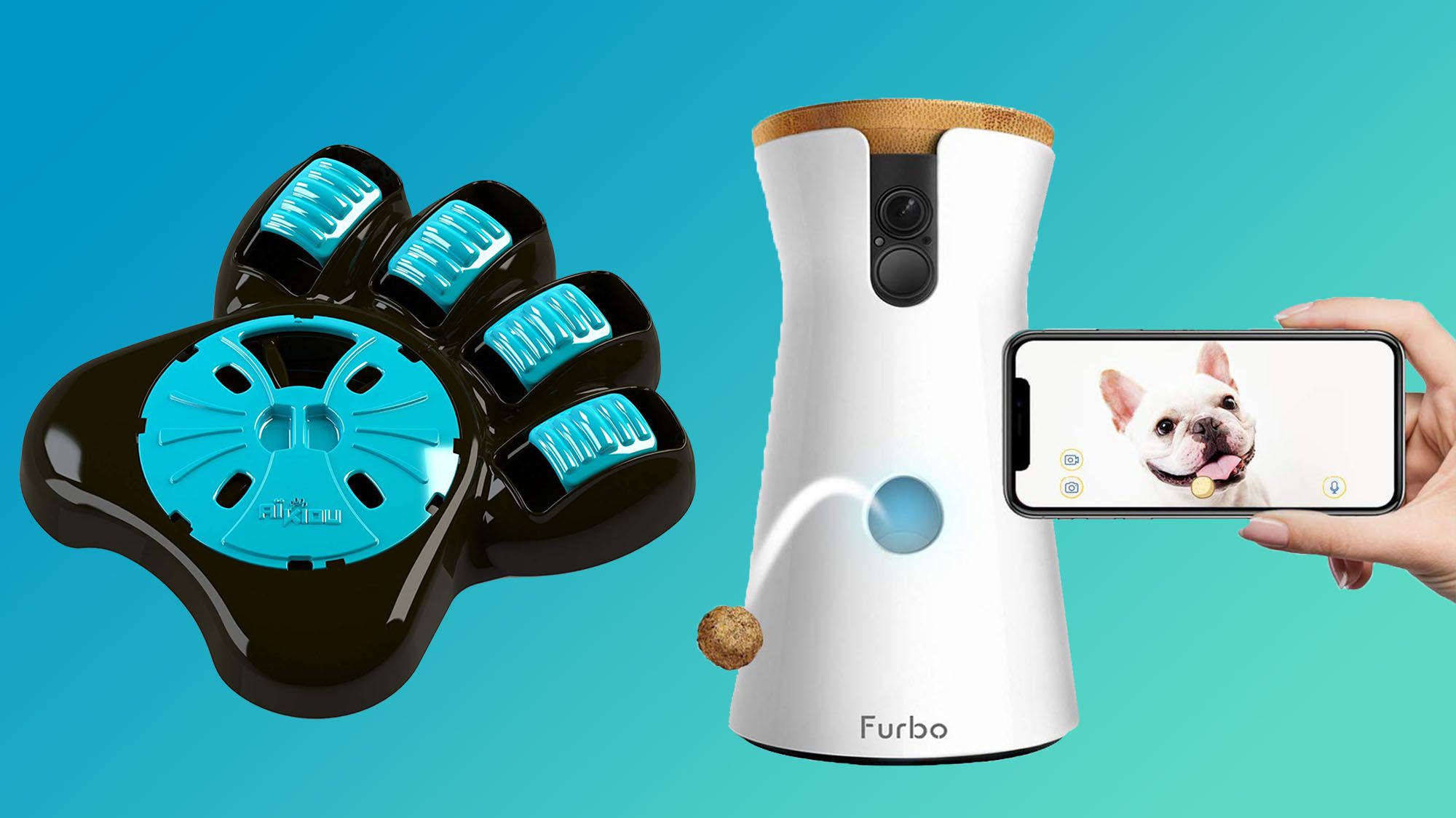 essentials for dog owners