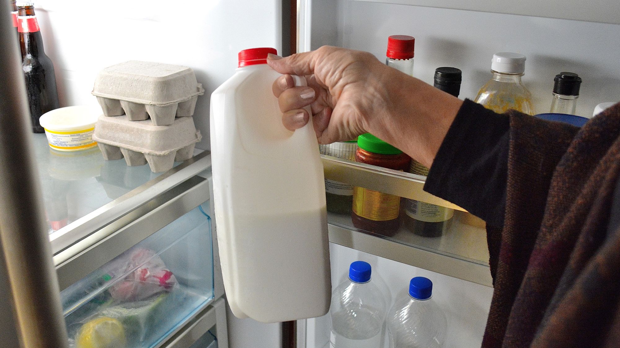 The Reason Americans Buy Refrigerated Milk and Europeans Don't Mental