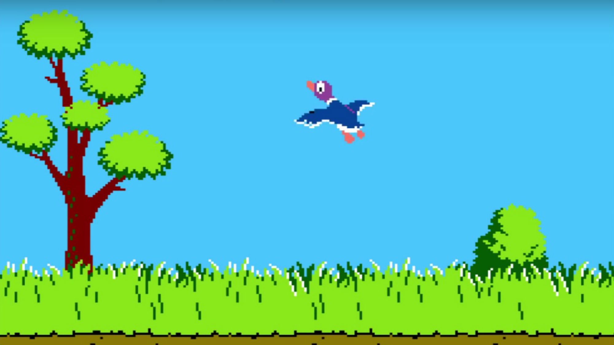 duck hunting games for wii