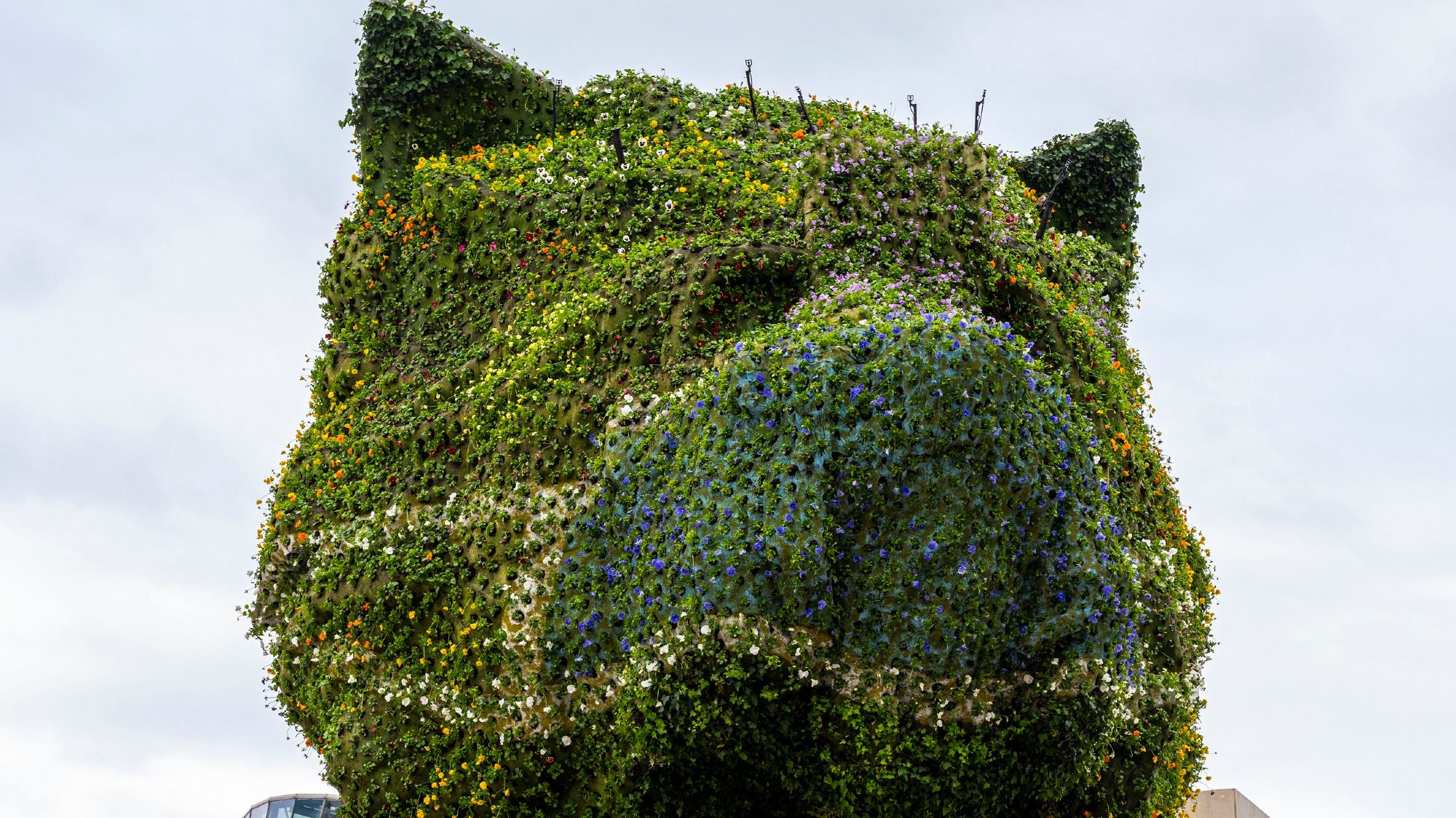 Jeff Koons S Puppy Sculpture At Guggenheim Museum Bilbao Is Donning A Face Mask Mental Floss