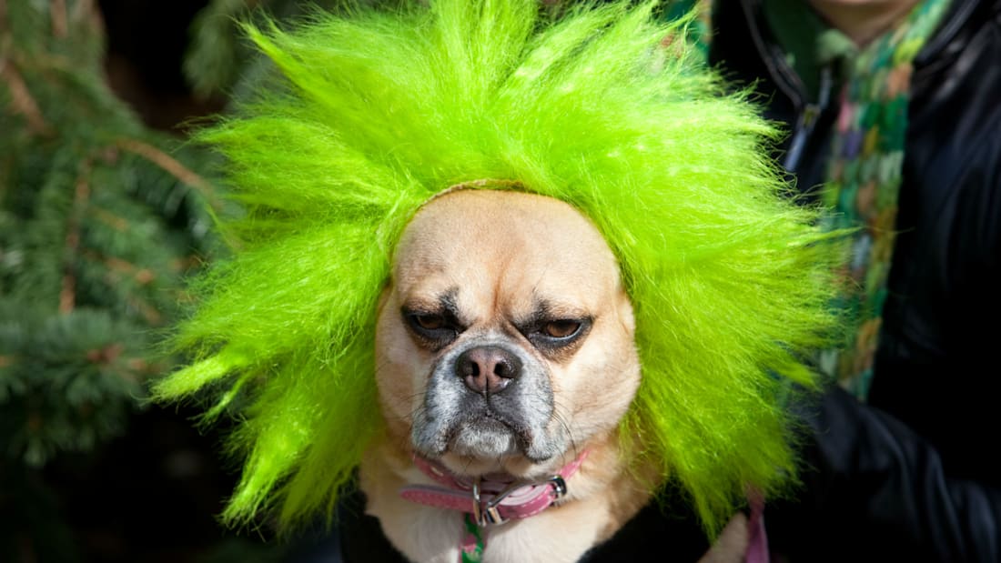 iStock.com/JasonCordell