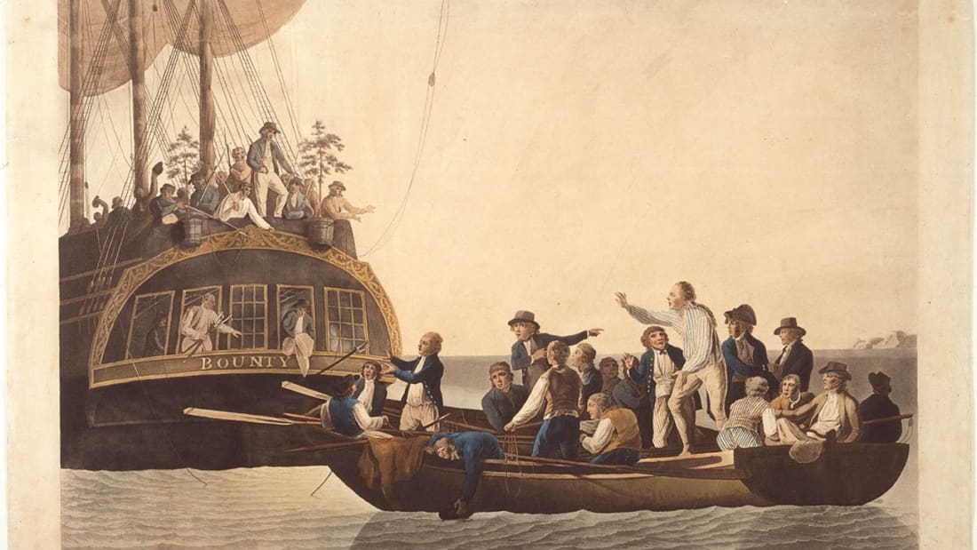 The Mutiny On The Hms Bounty Might Explain Migraine Headaches