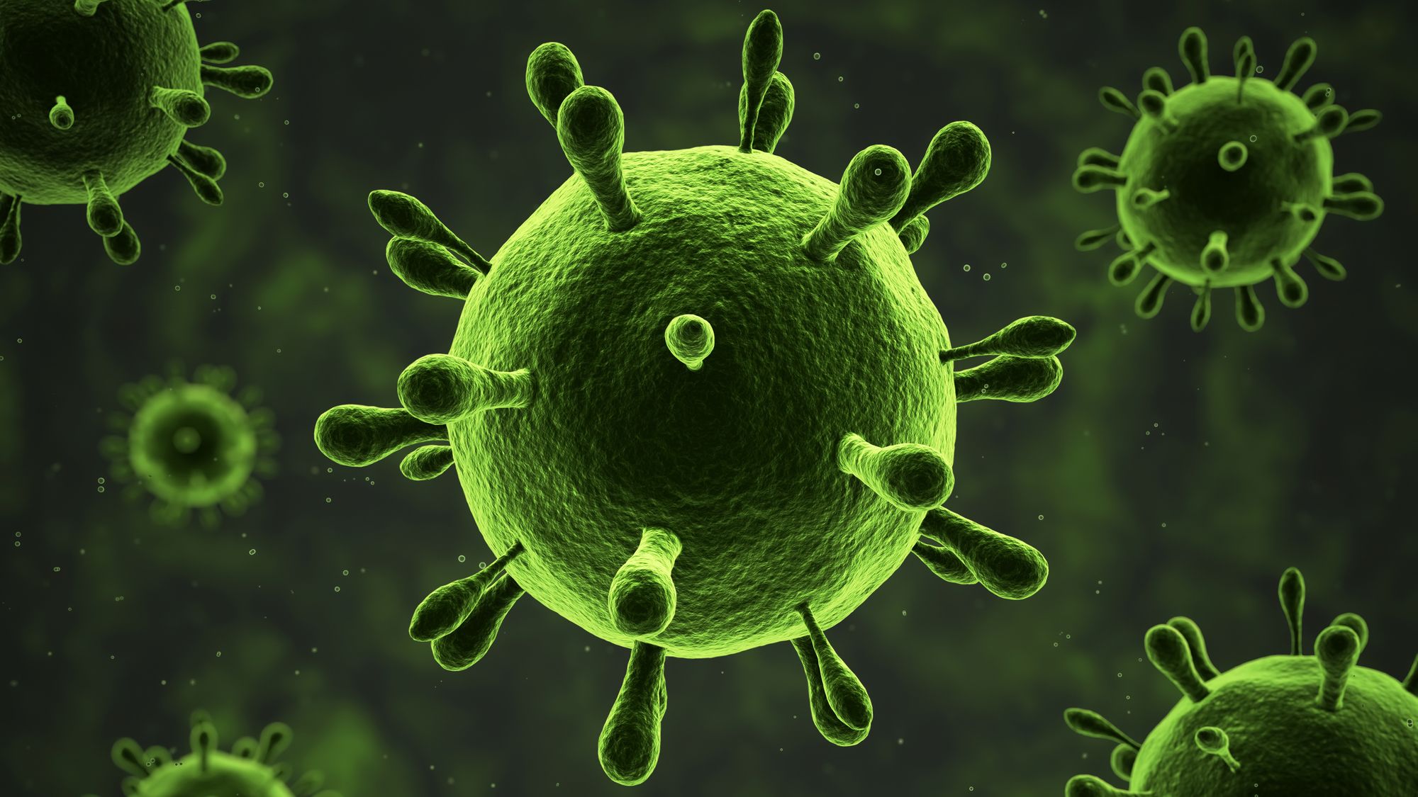 Do Bacteria Have Bacteria? | Mental Floss