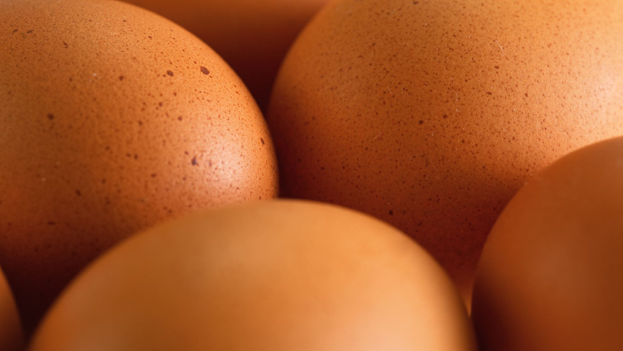 Why Do Eggshells Have Weird Bumps and Spots? Mental Floss
