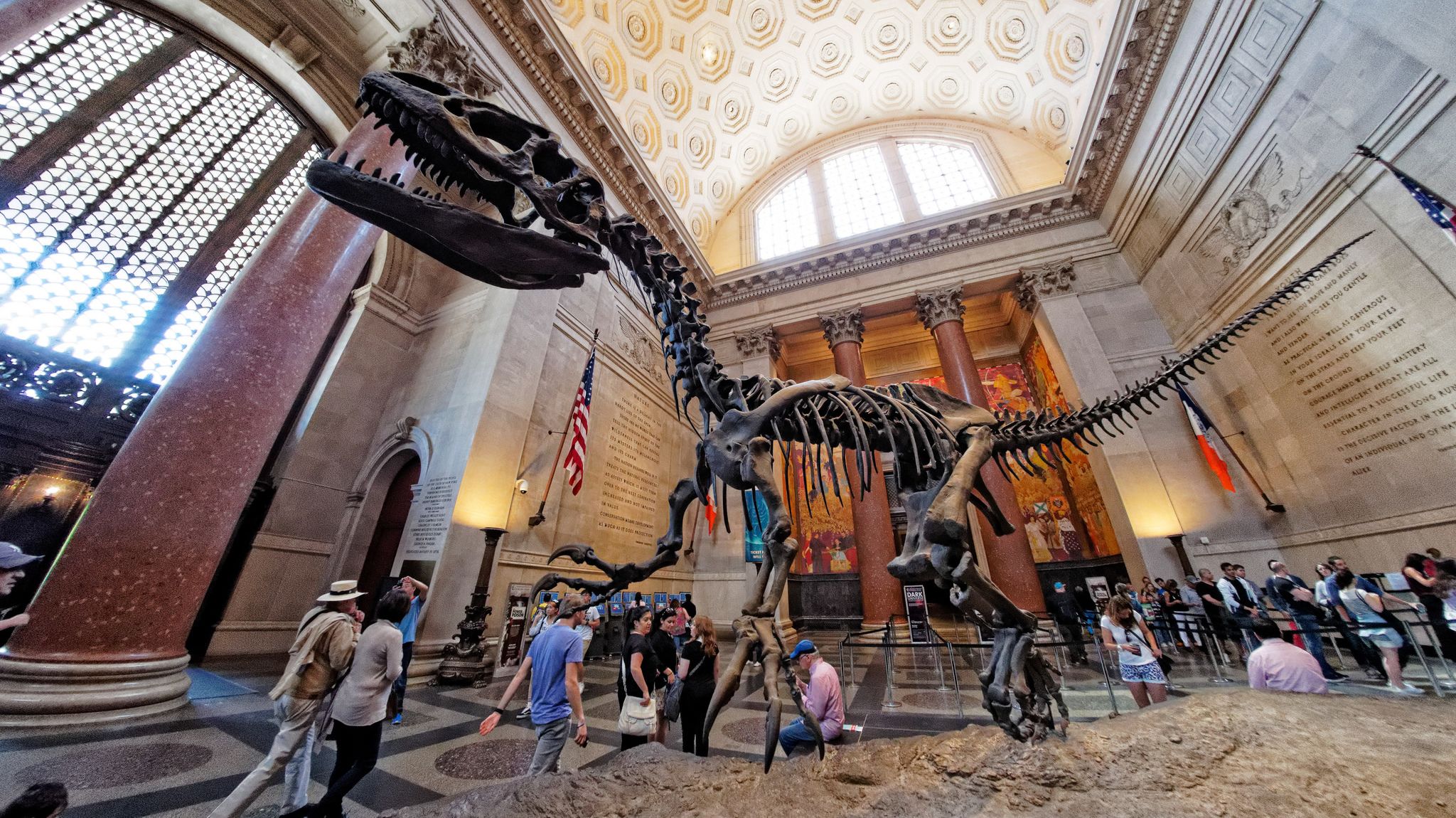 American Museum Of Natural History Announces September Reopening The New York Times