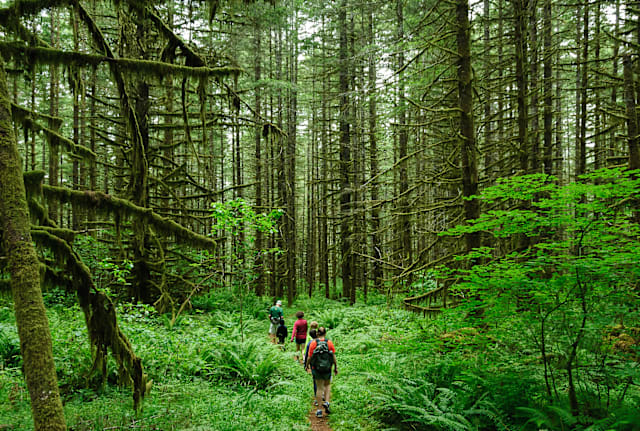 These hikers's gut microbes are running the show.