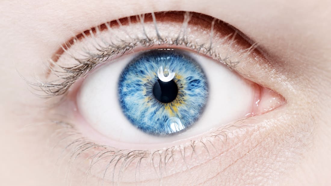 stock_colors/E+ via Getty Images