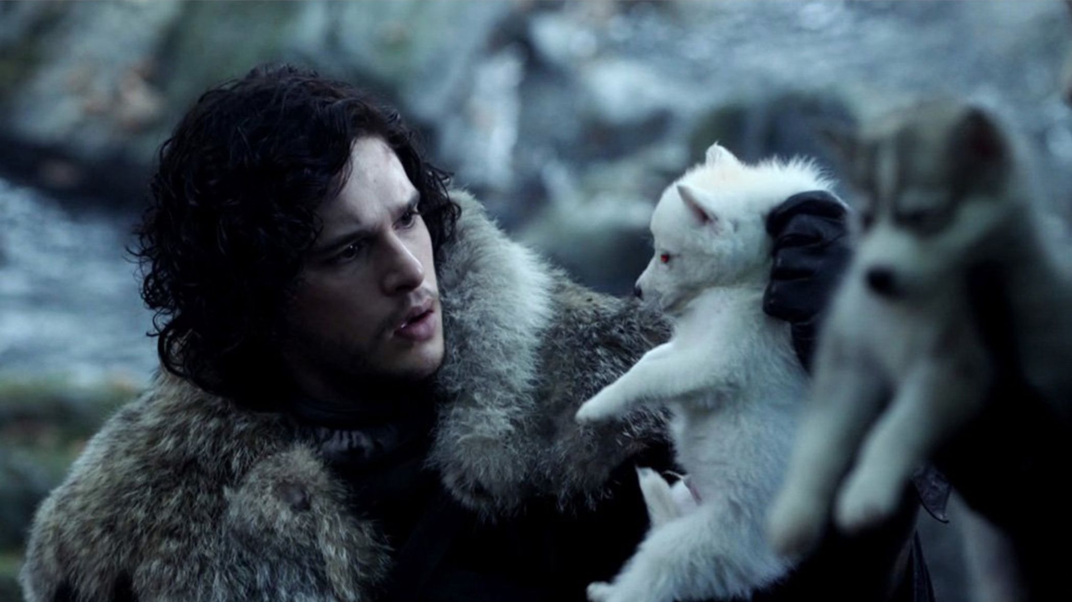 Game Of Thrones Fan Argues Direwolves Names Hint At The Starks