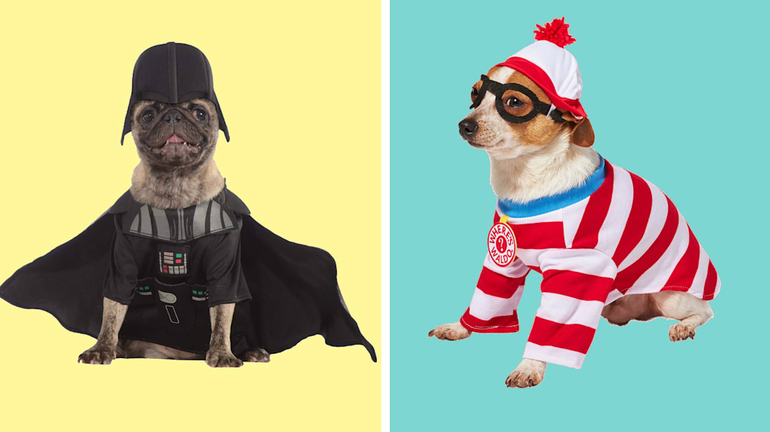 Amazon/Chewy