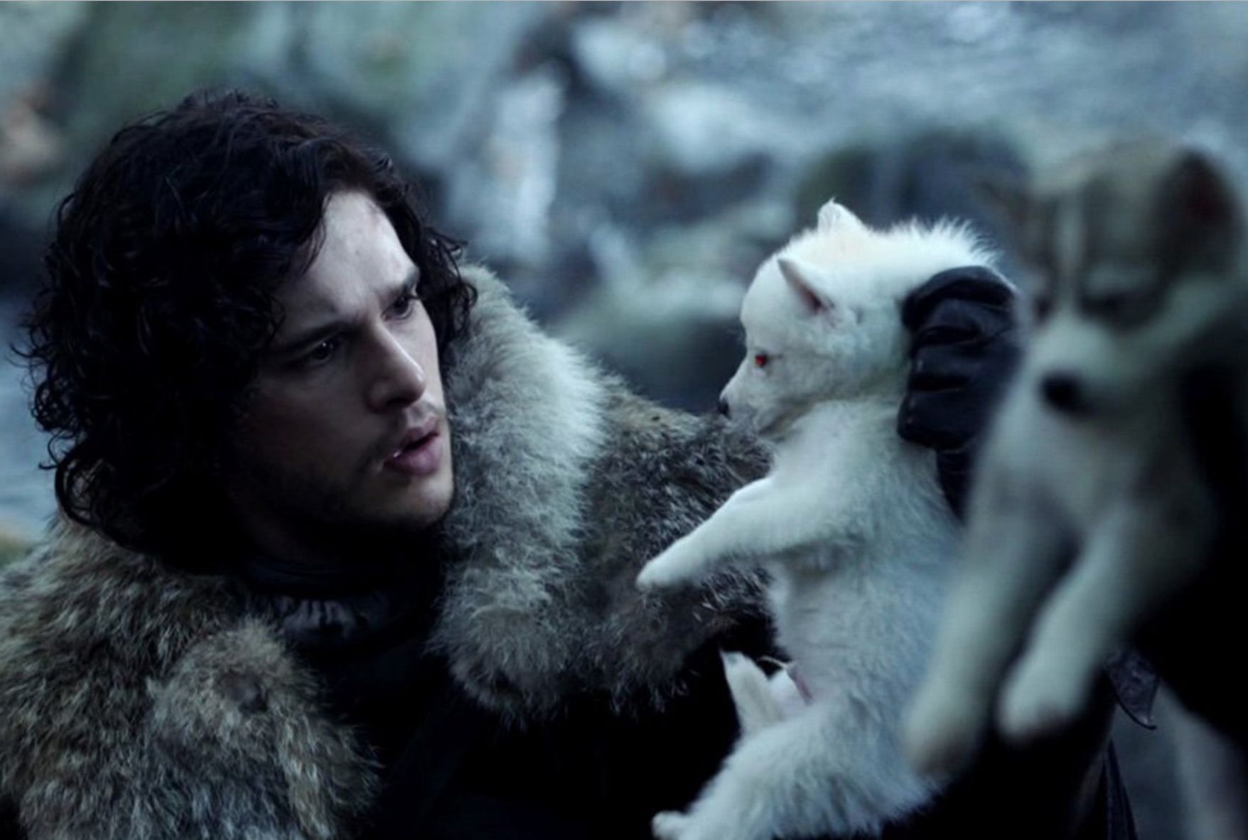 Game Of Thrones Fan Argues Direwolves Names Hint At The Starks
