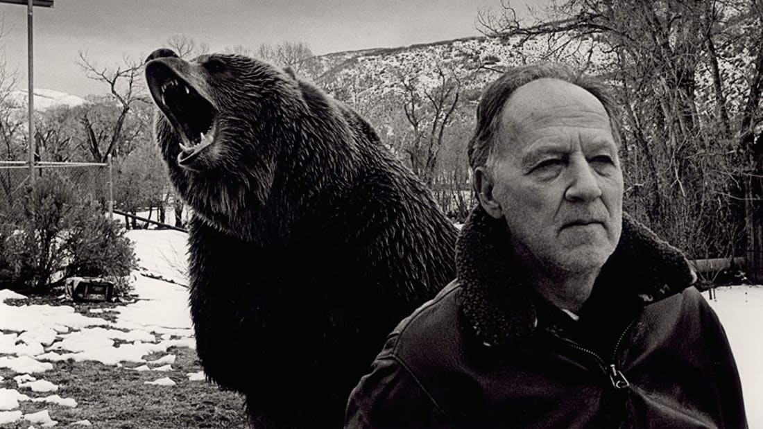 I Mean Actual Bears Bear Porn - 10 Fascinating Facts About Grizzly Man | Mental Floss