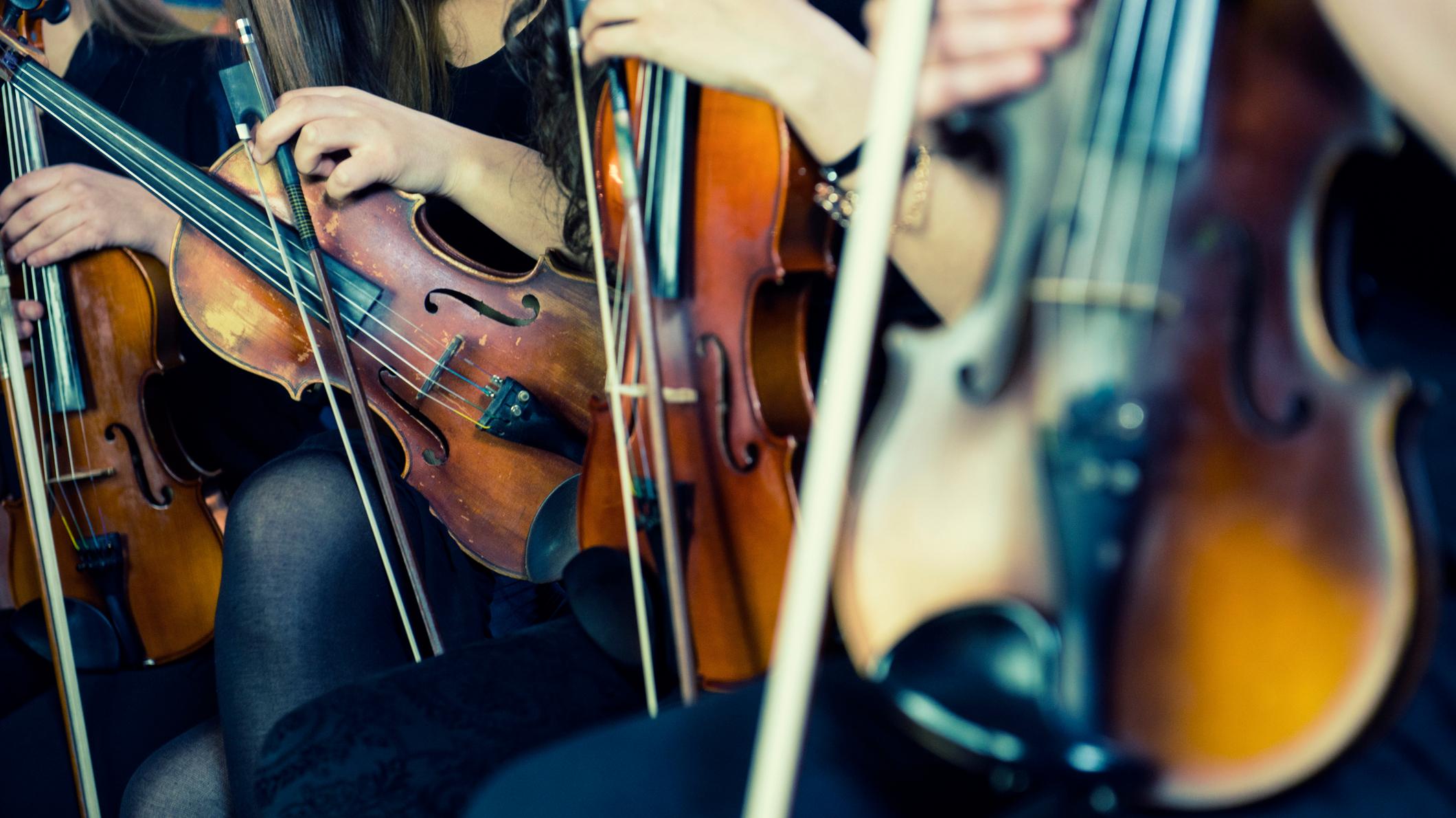 What S The Difference Between An Orchestra A Symphony And A Philharmonic Mental Floss