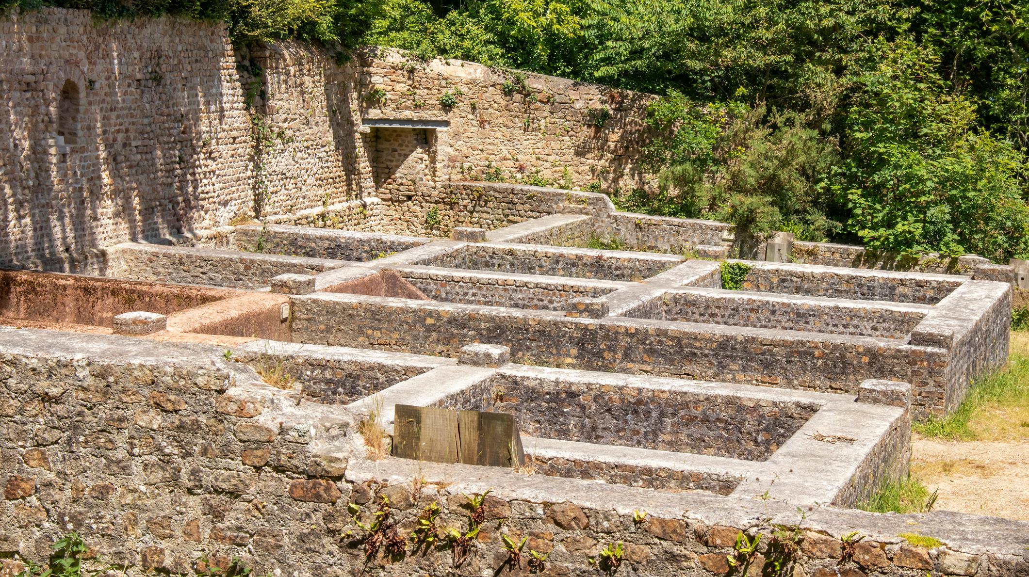 The Funky and Fishy History of Garum - Vimarsana News