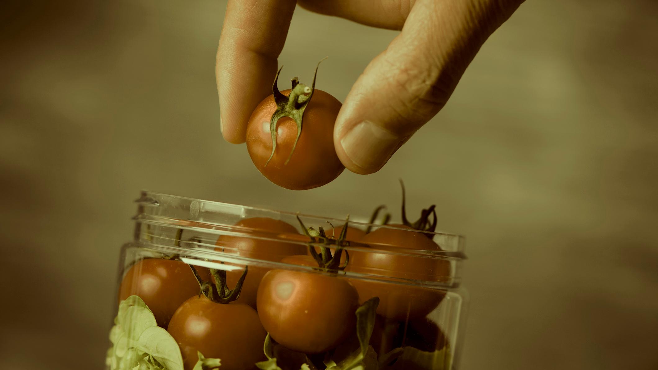 When Tomatoes Were Marketed as Medicine Mental Floss