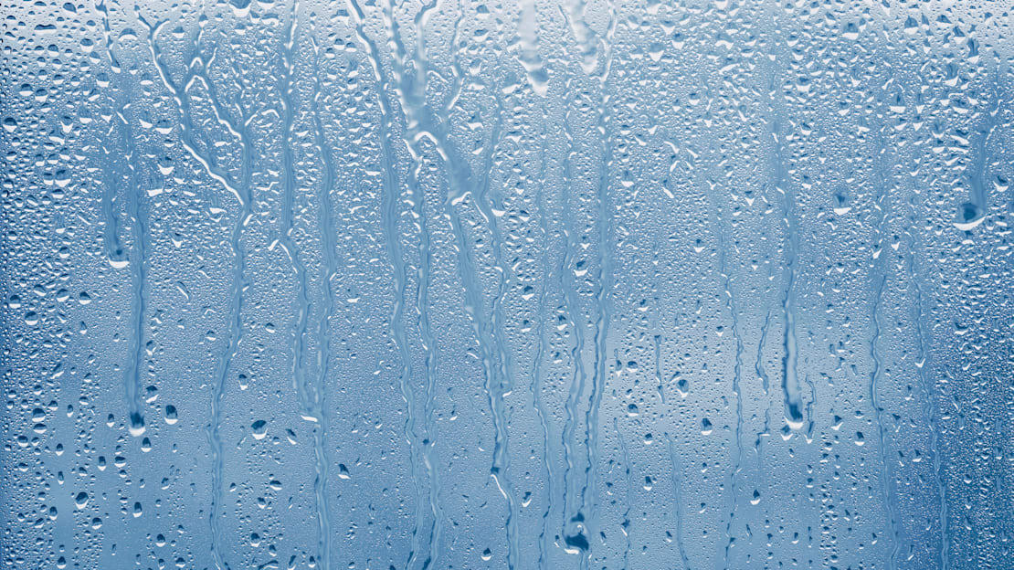 There's a good reason you hate the word moist—and it might surprise you.