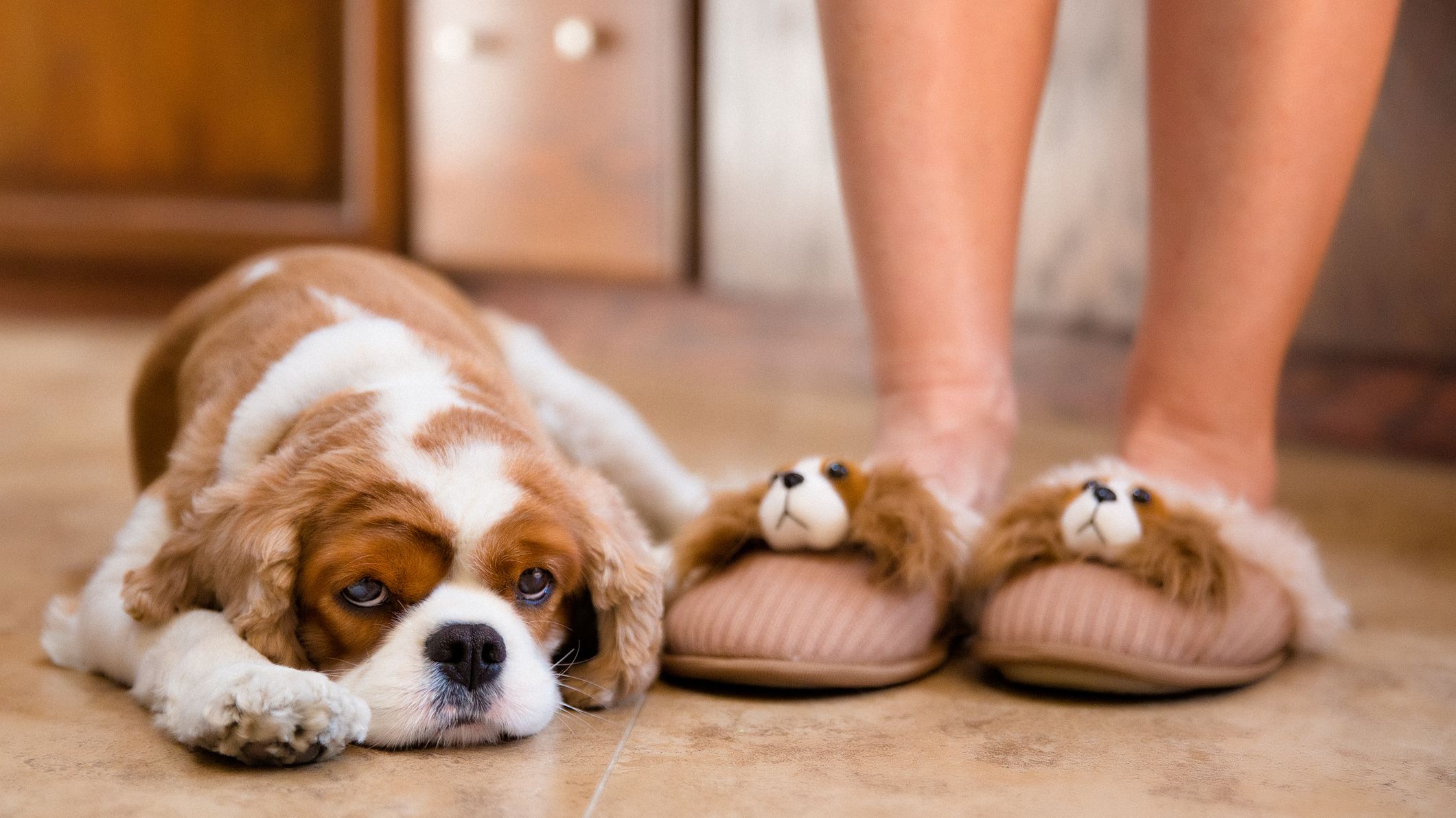 22 Unusual Slippers To Keep Your Feet 