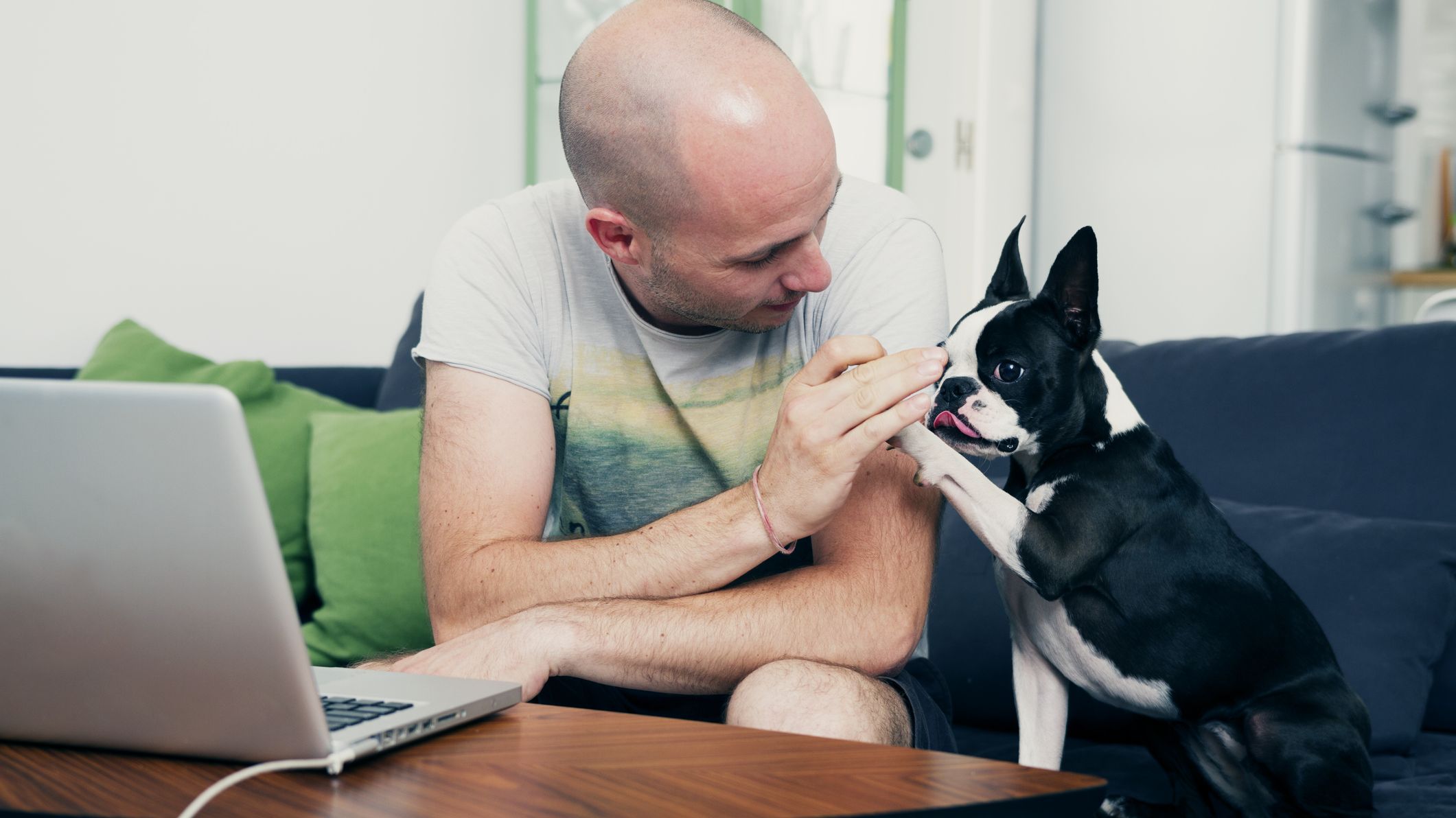 New Subscription Service Will Give You 24 7 Access To Veterinary Expertise For 10 A Month Mental Floss