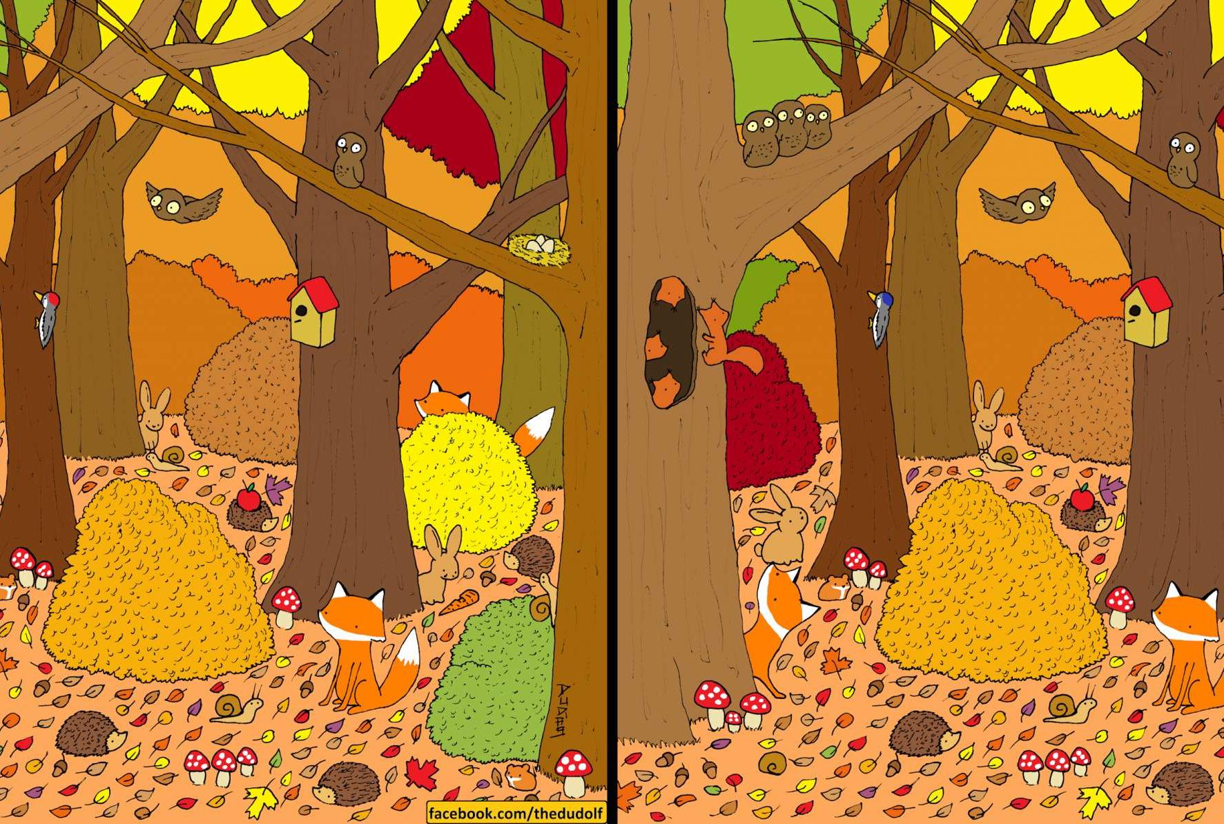 Spot-the-Difference Pictures: Autumn Forest Edition - Vimarsana News