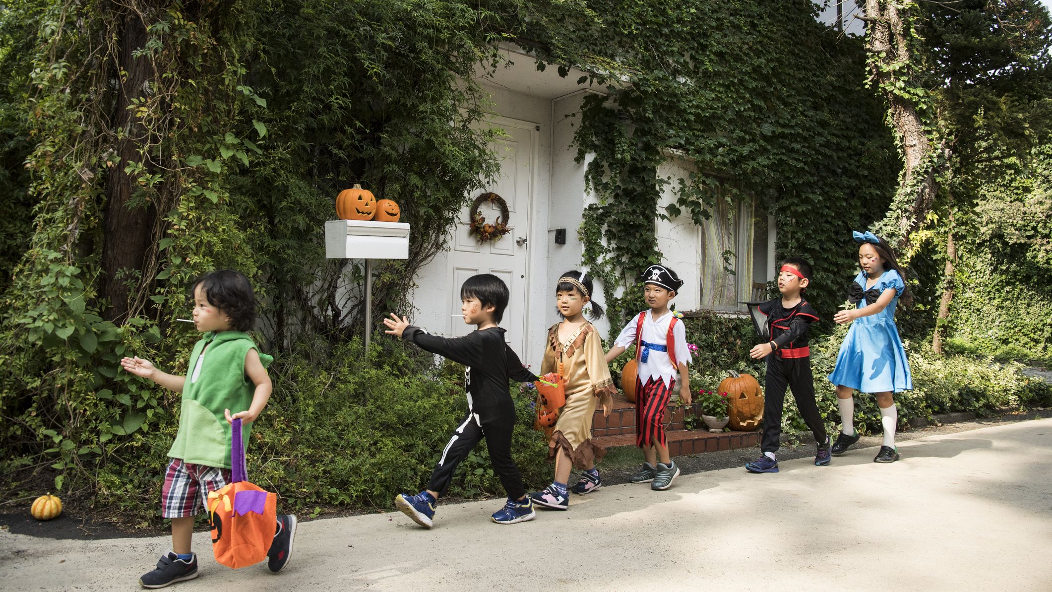 Trick Or Treat Is There Poison In Your Pixy Stix Mental Floss