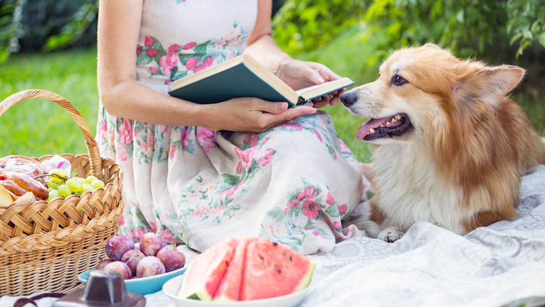 azgek/iStock via Getty Images
