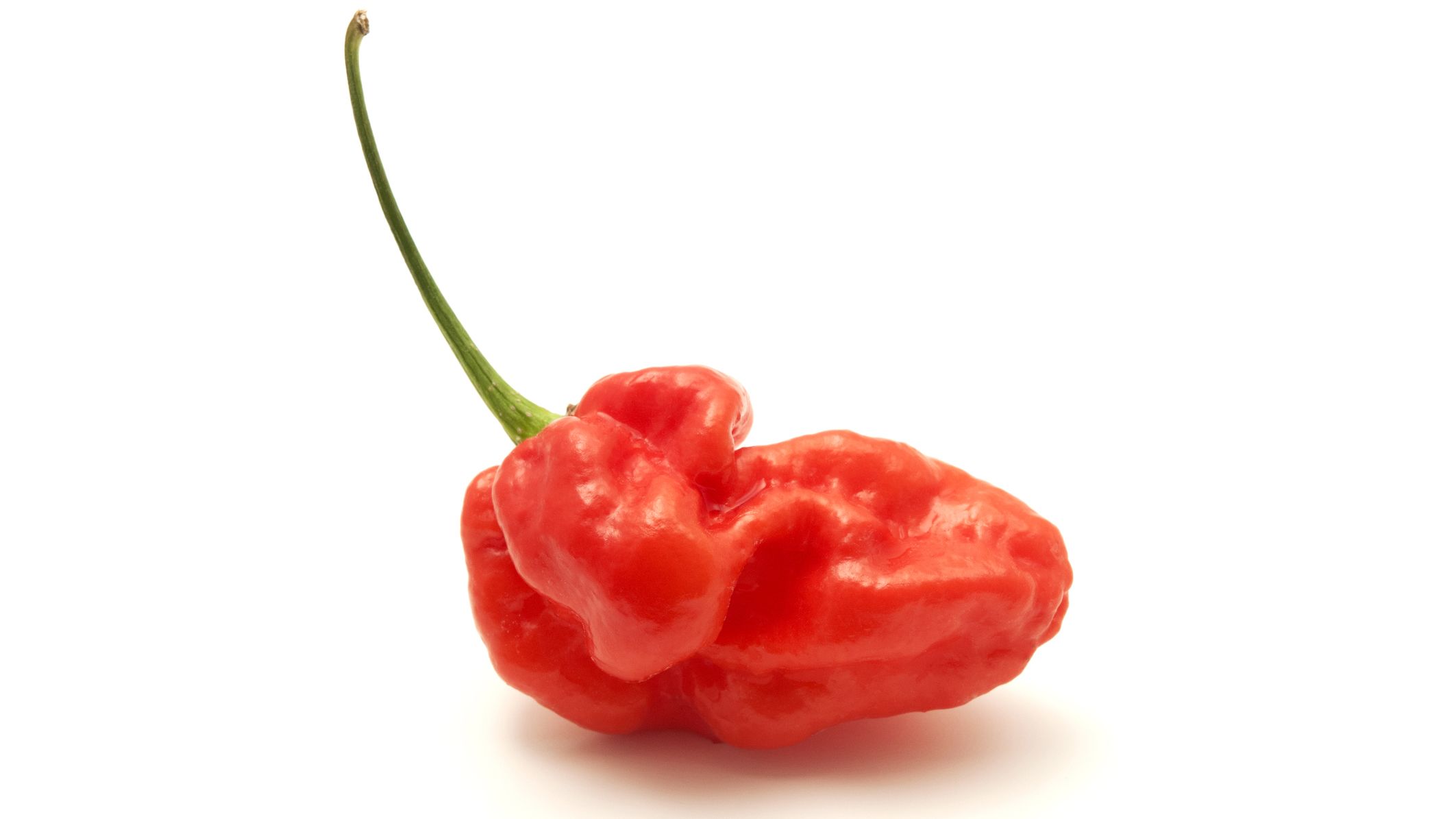 Farmer Sets Out To Grow A Pretty Plant Creates World S Hottest Pepper Instead Mental Floss