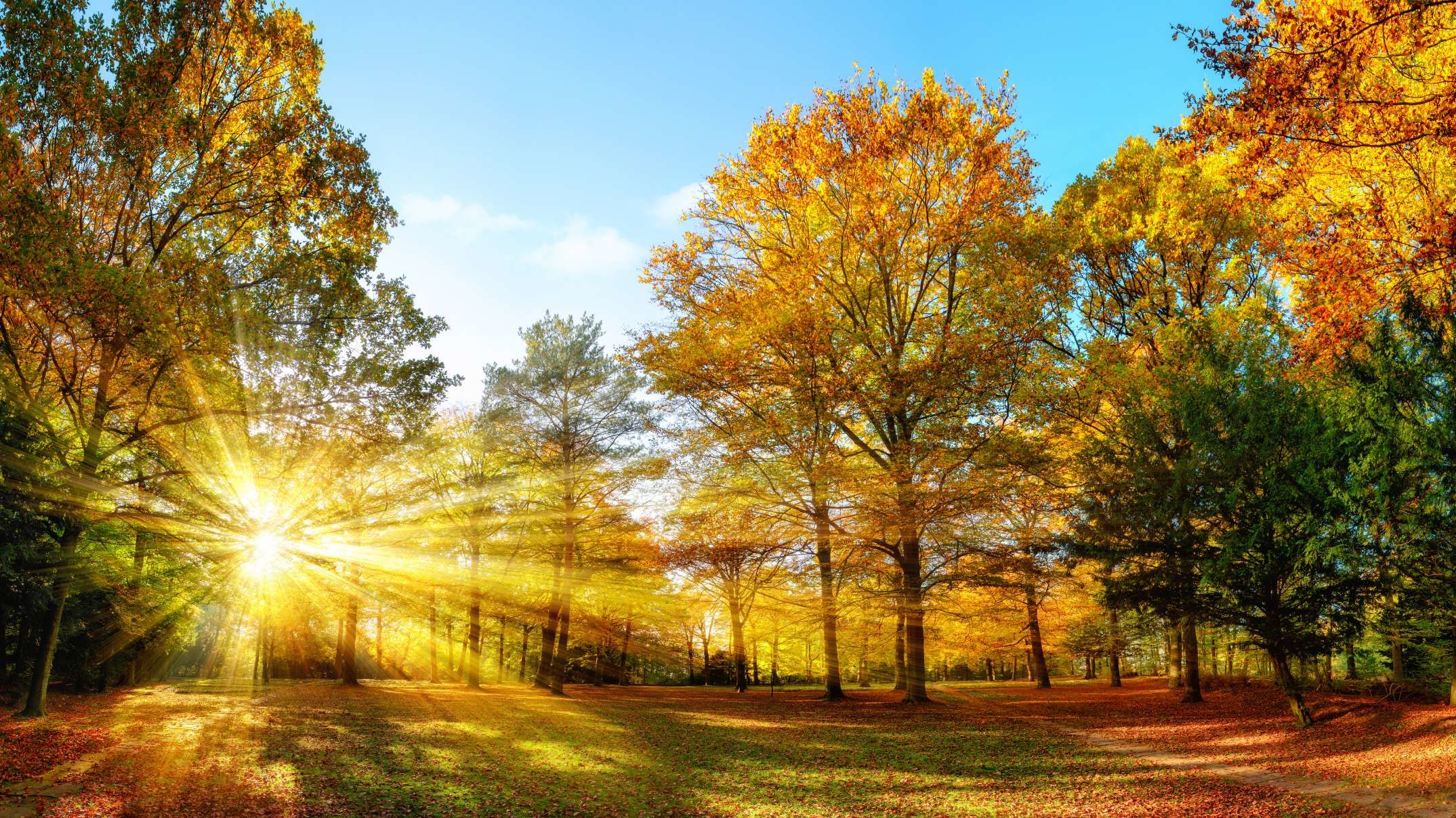 Autumn Equinox The Science Behind the First Day of Fall Mental Floss