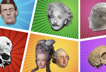 Clockwise from left: Phineas Gage; Albert Einstein; a Fowler phrenology bust; Gibraltar 1;  Marie Antoinette and Louis XVI; and a trepanned skull given to Ephraim George Squier. 

