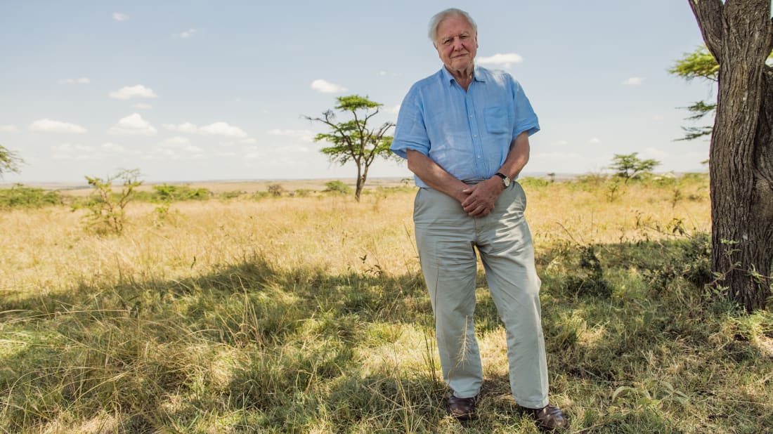 Sir David Attenborough pictured in the Maasai Mara, Kenya, in David Attenborough: A Life on Our Planet (2020).