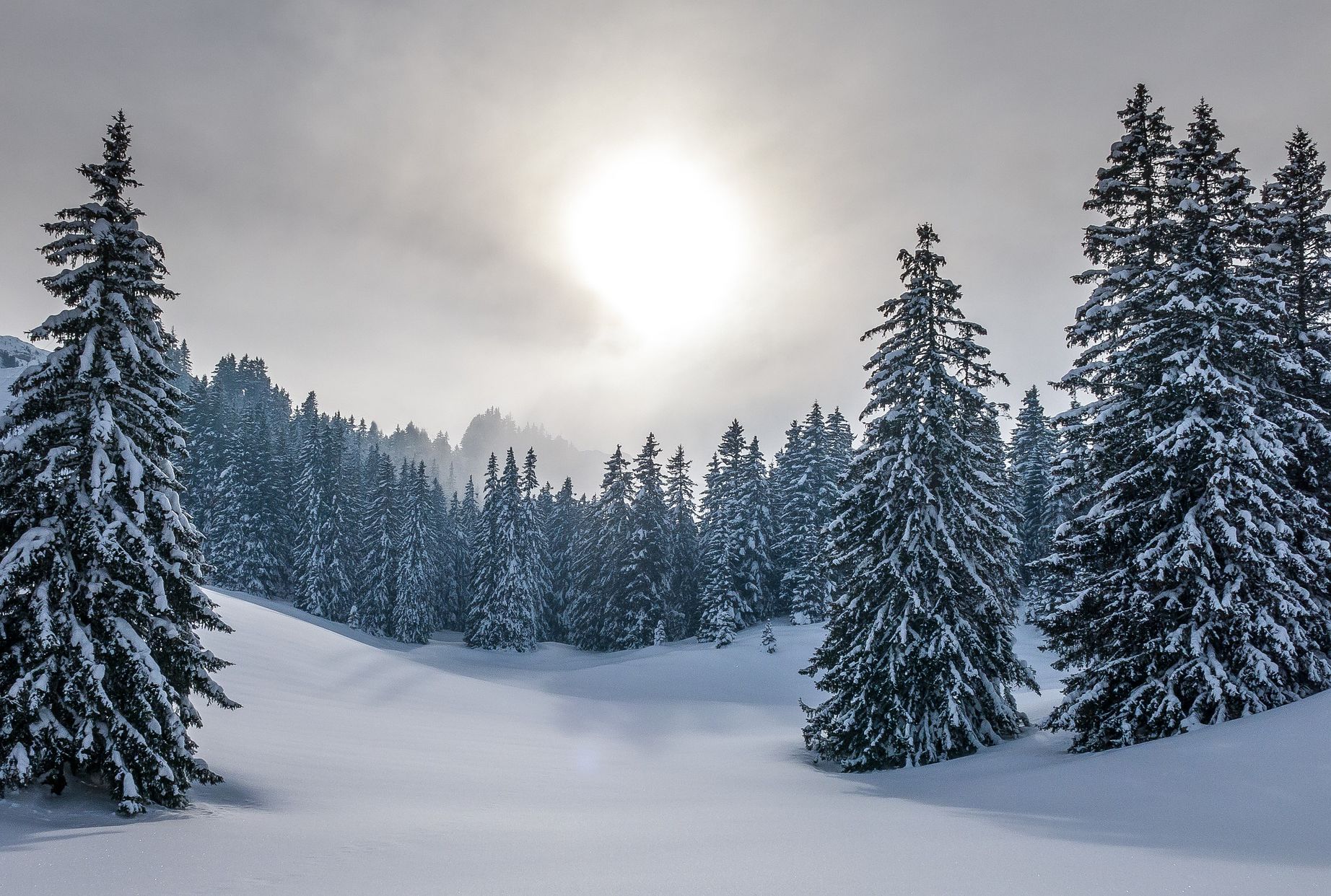 10 Facts About The Winter Solstice Mental Floss 10 Facts About The Winter Solstice Mental Floss