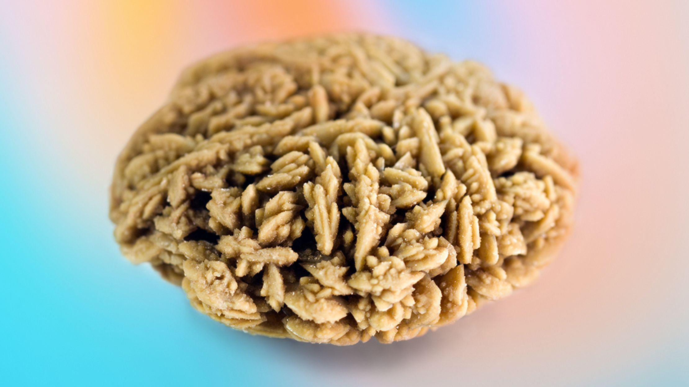 giant microbes kidney stone