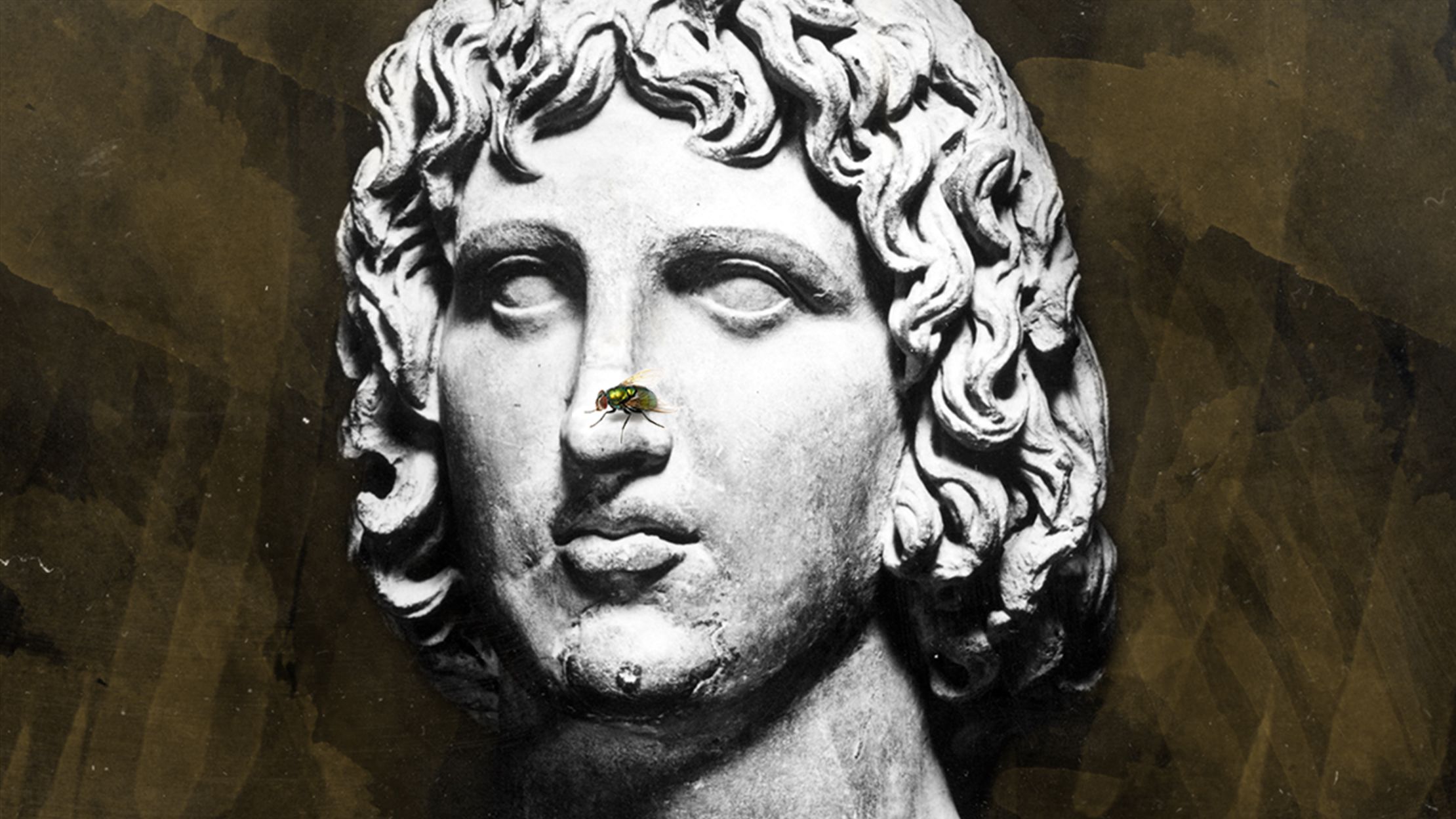 The Dubious Legend of Virgil #39 s Pet Fly Mental Floss