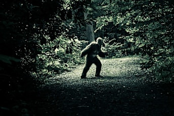 THEPALMER/iStock via Getty Images