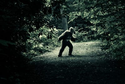 THEPALMER/iStock via Getty Images