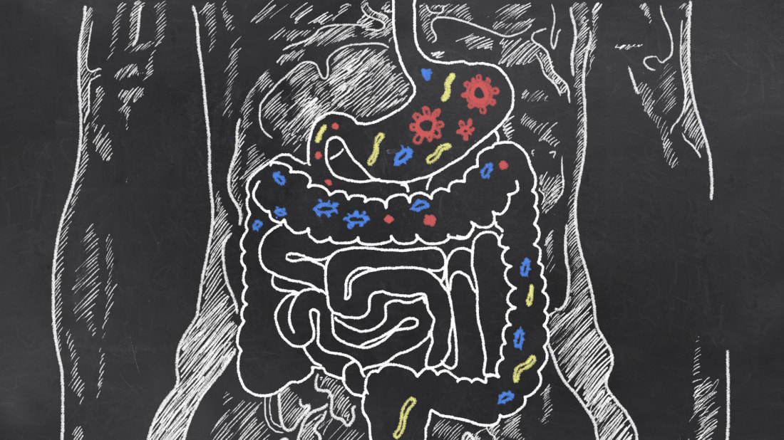 Eight Surprising Reasons Young People >> 8 Surprising Facts About The Stomach Mental Floss Eight Surprising Reasons Young People >> 8 Surprising Facts About The Stomach Mental Floss