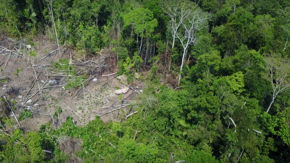 Drone Captures Footage Of An Amazon Tribe Never Seen By The Outside World Mental Floss